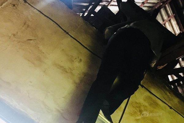 紫金矿业11月?11日大宗交易成交1.07亿元