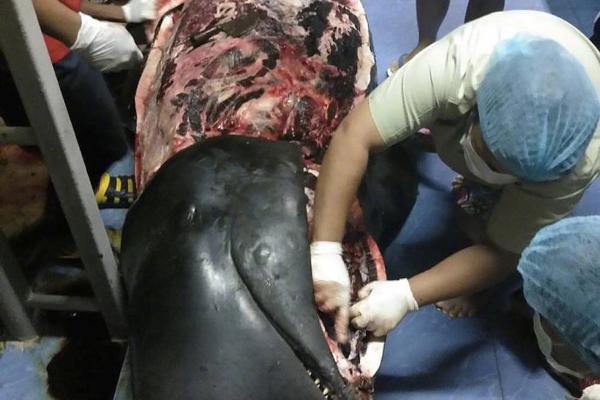 ETF总.规模近一个月增长近10%