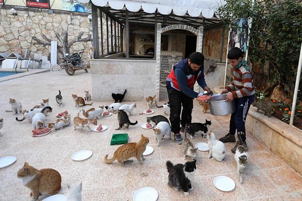 星.展：‘升’华润啤酒目标价至38港元 维持“买入”评级