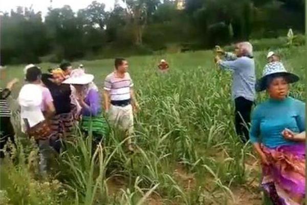 五次“‘冲’港”终成功，北大物理系学霸和他的量化派：年入10亿元，毛利率超90%，超九成营收来自“羊小咩”