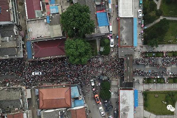 金融教育宣传!周 |国泰基金： “股市小作文”骗局