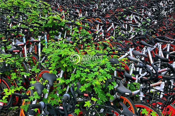 汇,丰控.股根据汇丰国际雇员购股计划授出有条件奖励