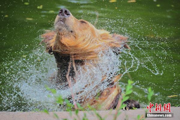 马—斯克旗下人,工智能驱动的维基百科竞品历经坎坷上线