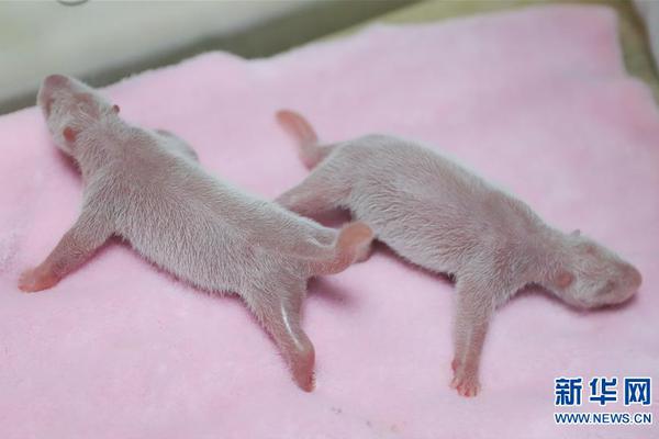 议程公布,！“科技融合与可.持续发展新生态”2025中国可持续投资发展论坛12/12即将召开