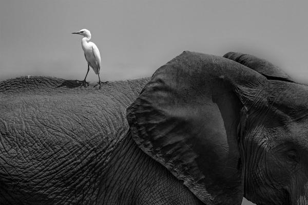 天奇股份;成功入选2025年度江苏省绿色工厂，以系统化实践推动制造业绿色转型