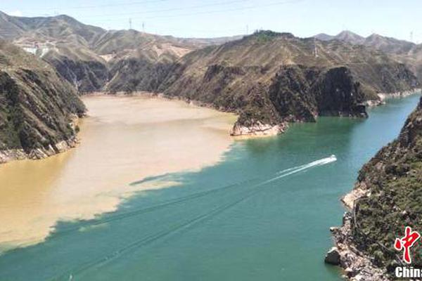 何氏;眼科：沈阳爱络博智能科技有限公司为公司实际控制人控制的关联企业，非公司直接参股公司