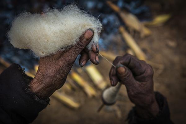 股价,创新高！万亿“宁王”大涨！