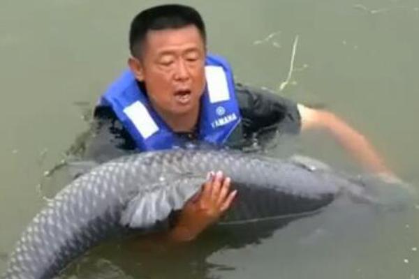 “;不许补贴—”，抖音通知酒商：卖茅台低于市场行情价将被处罚