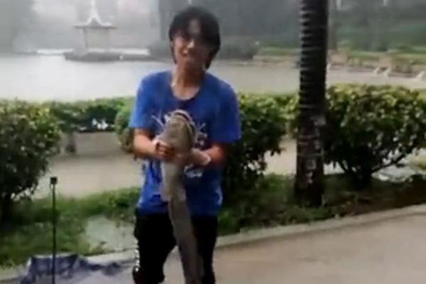 华为?畅享70X活力版 天猫直降800还补贴