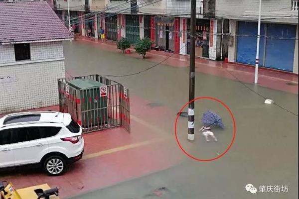 炒;股APP终极评<测>：新浪财经APP综合实力领跑，成为投资者首选利器