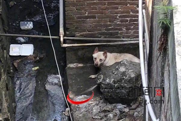 各?地多维?度推进低空经济产业强链补链