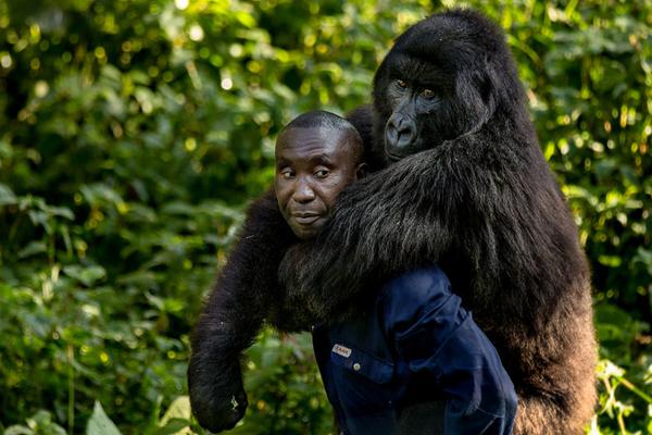 16:个交?易日涨8.26%，通信设备站上风口！