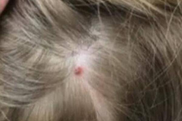 期—市晨昏线7.4（早）：就业数据反转 7月降息或已无可能