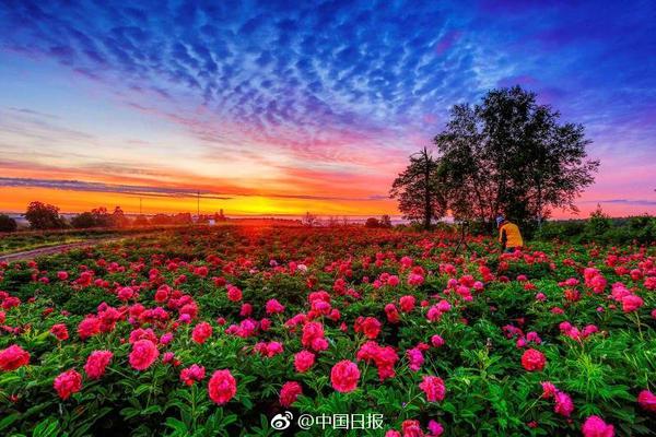 脑机接口,发展加速 多领域协同推进成果转化与临床落地