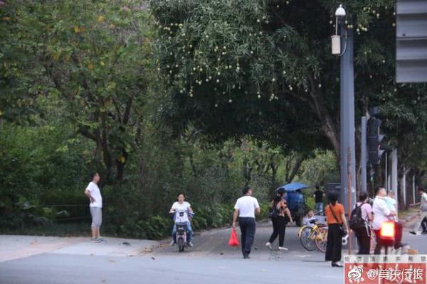 牛市“赚钱不易?”<！>如何笑到最后？来看两种思维的不同结局！