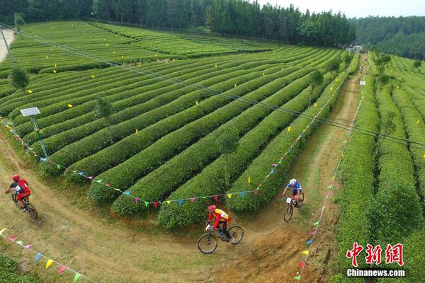 管涛?：当前人民币汇率并未积累较强的升值压力和预期