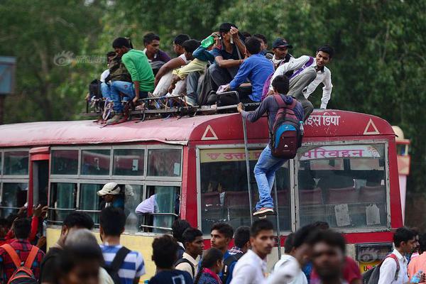 AI+!即时零售，悄然改写“双11”战事