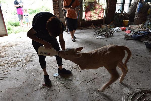 小鹏G7.正式上市 19.58万起 Ultra版达到L3级算力