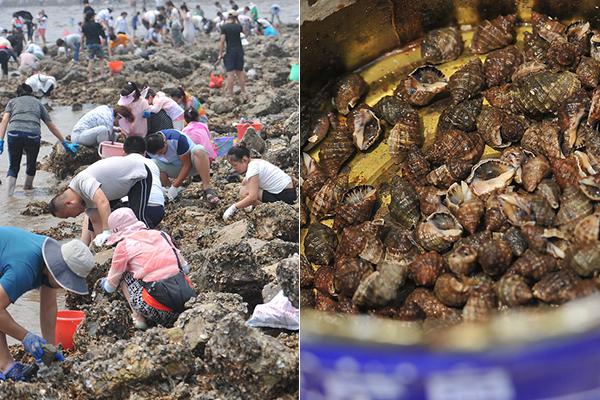 美;国启动调查，为征收机器人和医疗设备关税做准备