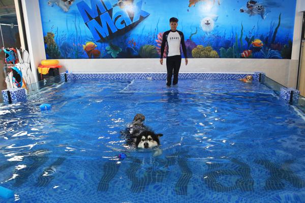 Lu;lulemon Athletica连续第二次下调全年业绩指引 盘后股价一度暴跌超15%