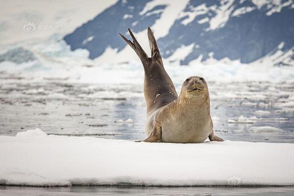 见证历史，现货黄金突破4000美元，国内金饰价格每克1160元！高盛：明年底金价可能涨到4900美元