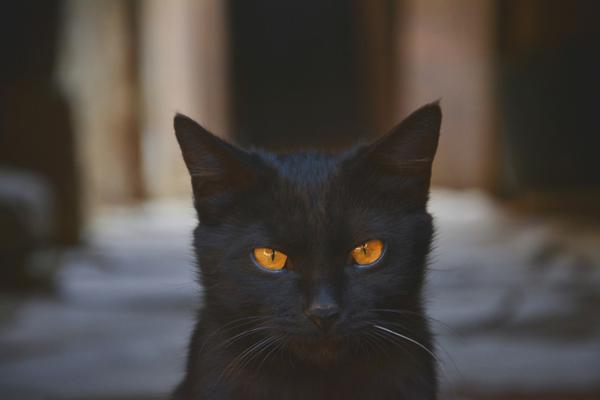 中信建投：本轮慢牛行情首次进入整理期，主要由于市场交易过热，AI算力主线核心逻辑并未被证伪