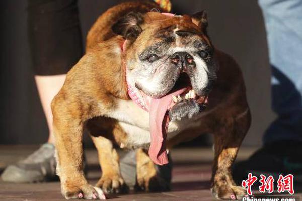 佰?奥智能：上半年营业收入2.29亿元 同比增长13.53%