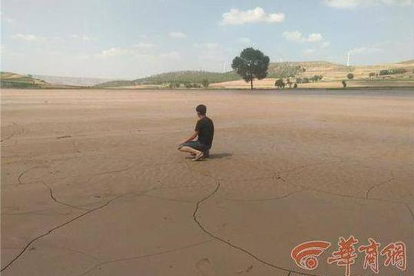 百济;神州!：第三季度总收入达14亿美元，同比增长41%