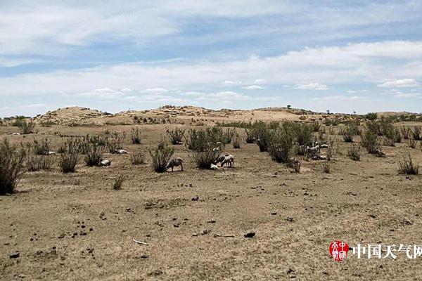 歌?尔股份大宗交易成交15.15万股 成交额456.02万元