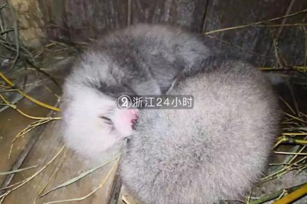 马化?腾闷声?发大财