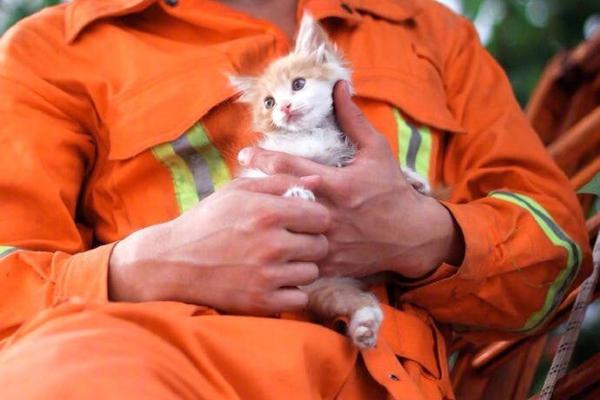 徐工集‘团’：入选财富、福布斯、Gartner全球三大榜单