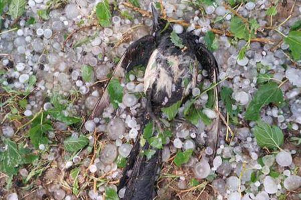 财经早报.：AI大牛股集中发布业绩 百亿元级私募重仓五大行业|2025年8月27日