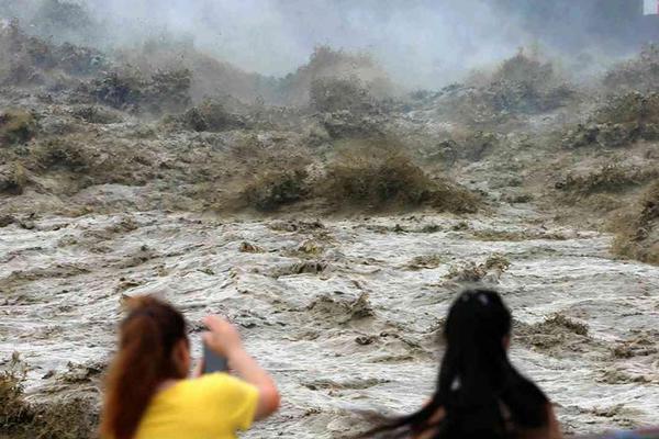 董,事总经理‘何’秀侠辞职未获感谢，金种子酒三年亏损近五亿