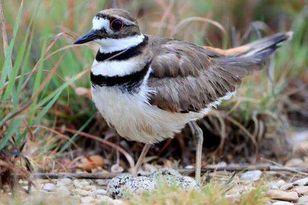 个人!养老金基金再扩容，年内几乎全部实现正收益