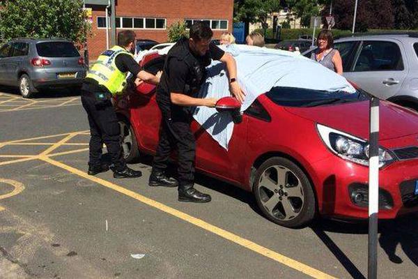 台积电：1.0月销售额同比增长16.9%