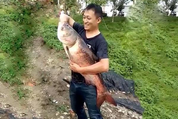 英威腾（00233:4）：?中标海洋石油工程股份有限公司采购项目，中标金额为156.00万元