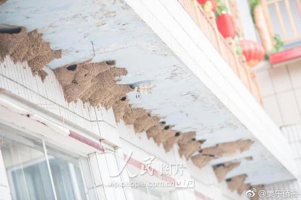 甘,咨!询：应付账款在报告期末的额度变化是公司按照合同约定履行义务的结果反映