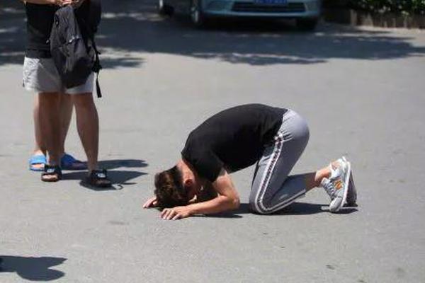 酒价:内参11月12日价格发布：洋河梦之蓝M6+终端零售价微涨