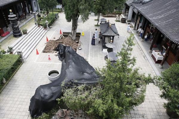 【<太>平!洋金融|点评】国信证券2025年三季报点评：业绩表现强劲，外延并购落地