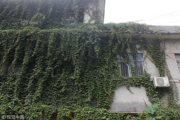 摩.根大通允许经理在绩效考核中使用人工智能 员工是否买账成问题