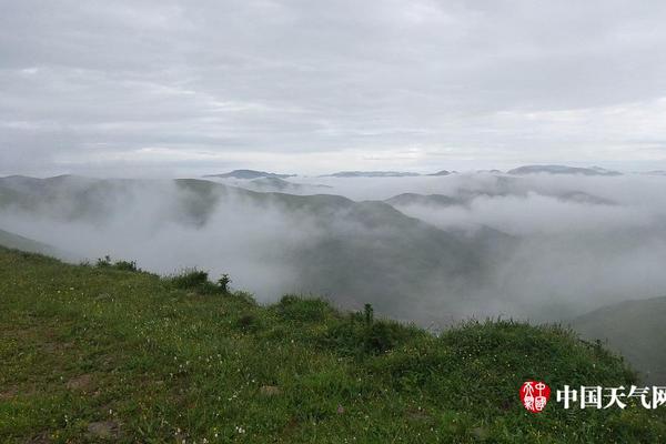 业务布局与市场拓展成效初显 德生科技上半年营收2.49亿元