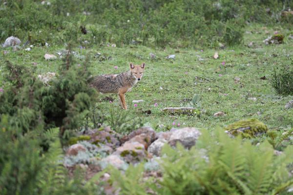 圣晖集成：—2025年第三季度归属于上市公司股东的净利润同比增长93.89%
