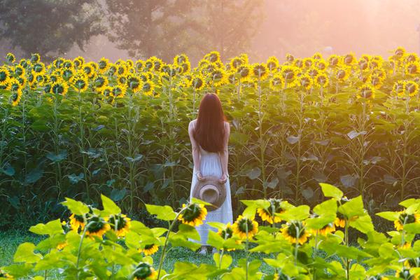 本‘立’科技?最新股东户数环比下降5.32% 筹码趋向集中