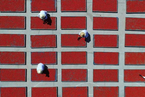 原创 科<大>讯飞：打造中国首个超大规模自主创新算力平台“飞星一号”