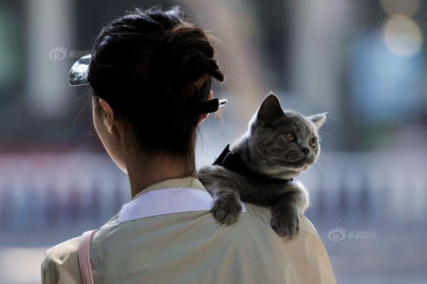 波兰<击>落俄军无人机 首次关闭主要机场