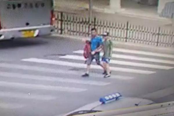 青:蒿素概念涨0.31%，主力资金净流入这些股