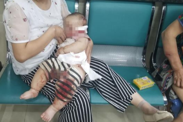 Blo;om Ene;rgy三季度营收同比增长57.1%