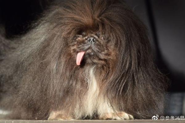 吉利汽?车回应“基础流量”权益争议：不会对承诺权益减配