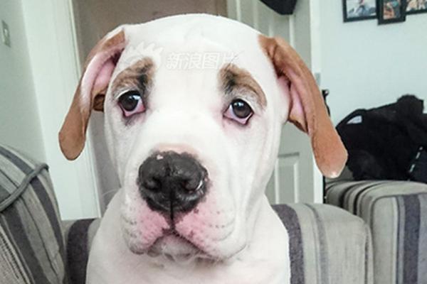 中集‘集’团：集装箱整体订单排产?较为正常