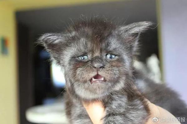 昊:创瑞通：公司在中国石油天然气集团有限公司入围的产品为高压环网柜、预装式变电站，目前尚未正式供货